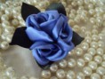 /album/flores/flor-azul-com-folhas-verde-jpg/